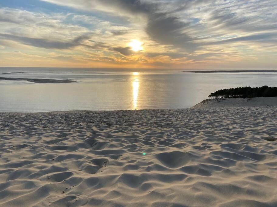 Villa Arcachon 12 Pers Avec Piscine Chauffee 1 Mai Au 30 Sept Bagian luar foto